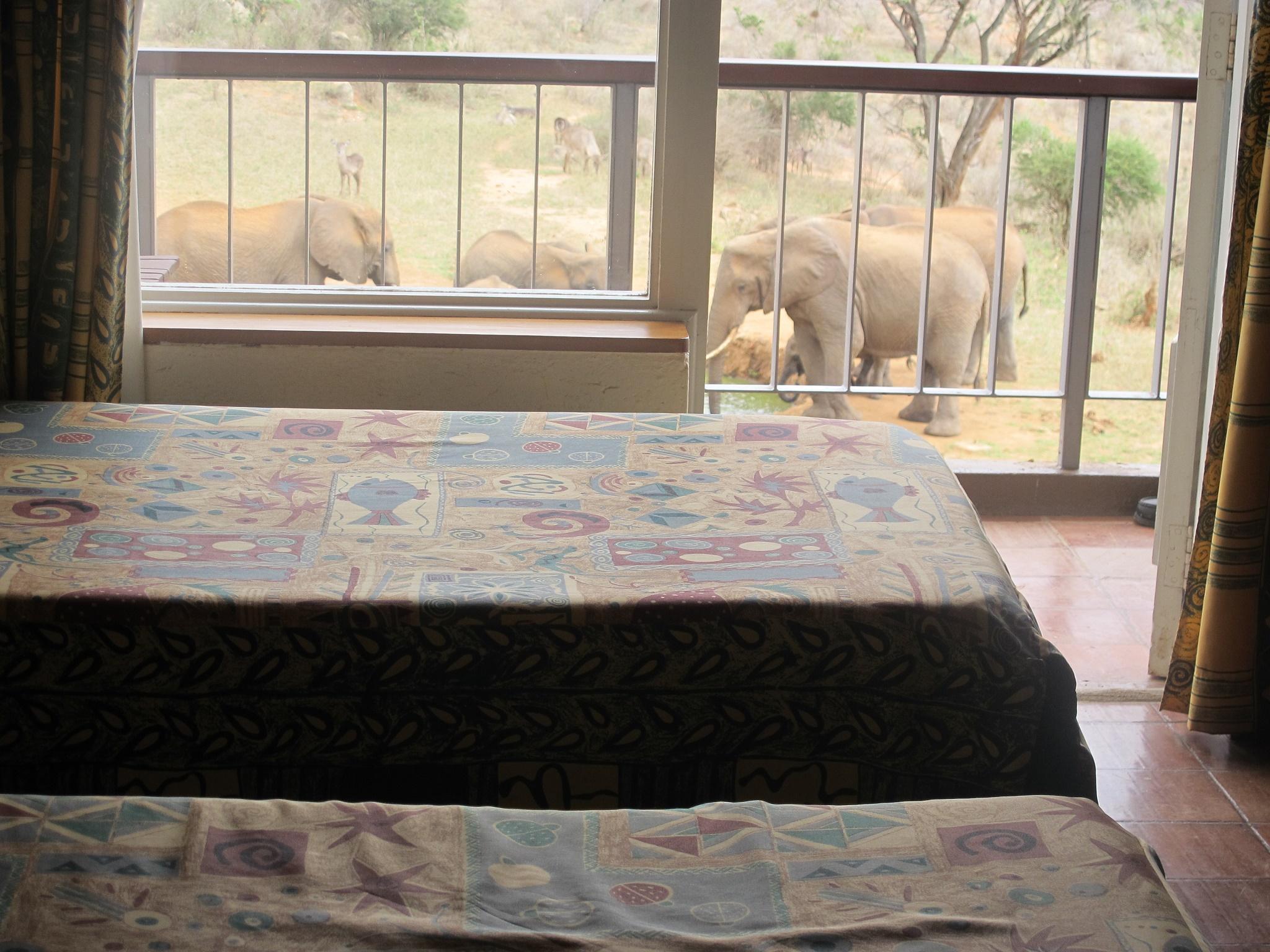Ngulia Safari Lodge Tsavo Екстериор снимка