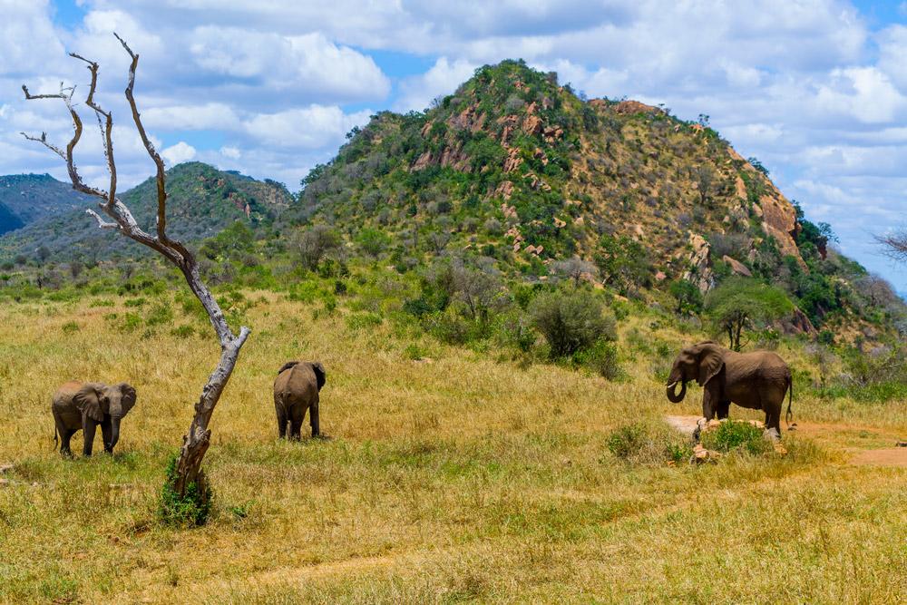 Ngulia Safari Lodge Tsavo Екстериор снимка
